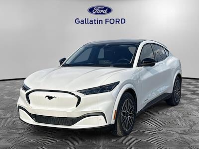 New 2025 Ford Mustang Mach-E - photo 1