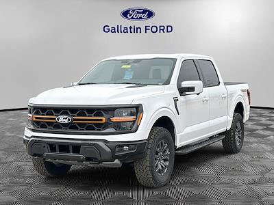 New 2025 Ford F-150 - photo 1