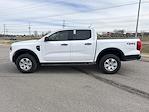 New 2025 Ford Ranger XL SuperCrew Cab for sale #FE78511 - photo 8