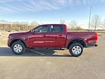 New 2025 Ford Ranger XL SuperCrew Cab for sale #FE79044 - photo 8