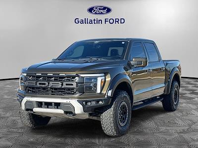 Used 2024 Ford F-150 - photo 1