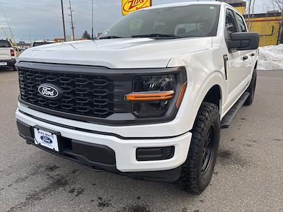 New 2025 Ford F-150 - photo 1