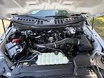 2025 Ford F-150 SuperCrew Cab 4x4 Pickup for sale #186900 - photo 40