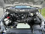 2025 Ford F-150 SuperCrew Cab 4x4 Pickup for sale #187310 - photo 41
