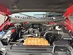 2015 Ford F-150 SuperCrew Cab 4WD Pickup for sale #188521 - photo 32