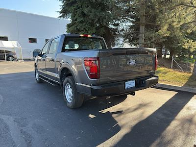New 2025 Ford F-150 - photo 1