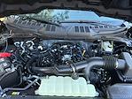 2025 Ford F-150 SuperCrew Cab 4x4 Pickup for sale #191240 - photo 38
