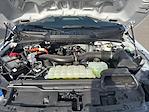2025 Ford F-150 SuperCrew Cab 4x4 Pickup for sale #191600 - photo 33