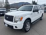 2014 Ford F-150 SuperCrew Cab 4WD Pickup for sale #192072 - photo 3