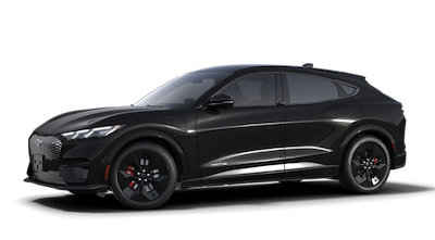 New 2025 Ford Mustang Mach-E - photo 1