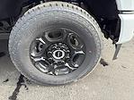 2026 Ford F-250 Crew Cab 4x4 Pickup for sale #194810 - photo 9