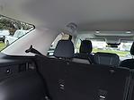 2025 Ford Bronco Sport 4x4 SUV for sale #196580 - photo 12