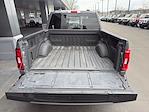 2021 Ford F-150 SuperCrew Cab 4WD Pickup for sale #196822 - photo 7