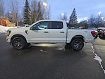 2025 Ford F-150 SuperCrew Cab 4x4 Pickup for sale #197270 - photo 10