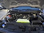 2025 Ford F-150 SuperCrew Cab 4x4 Pickup for sale #197270 - photo 12