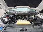 2021 Ford F-150 SuperCrew Cab 4WD Pickup for sale #197581 - photo 4