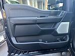 2025 Ford F-150 SuperCrew Cab 4x4 Pickup for sale #198950 - photo 20