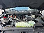 2025 Ford F-150 SuperCrew Cab 4x4 Pickup for sale #198950 - photo 6