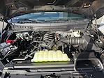 New 2026 Ford F-150 STX SuperCrew Cab for sale #199200 - photo 28