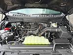 New 2026 Ford F-150 STX SuperCrew Cab for sale #199290 - photo 34