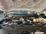 2024 Ford F-450 Crew Cab DRW 4WD Cab Chassis for sale #637780 - photo 6