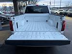 2024 Ford F-150 SuperCrew Cab 4WD Pickup for sale #638460 - photo 15