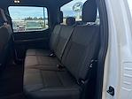 2024 Ford F-150 SuperCrew Cab 4WD Pickup for sale #638460 - photo 35