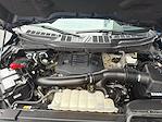 2023 Ford F-150 SuperCrew Cab 4WD Pickup for sale #638480 - photo 35