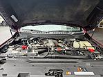 2024 Ford F-350 Crew Cab DRW 4WD Pickup for sale #638750 - photo 6