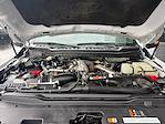 2024 Ford F-350 Crew Cab SRW 4WD Pickup for sale #638900 - photo 4