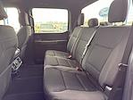 2024 Ford F-150 SuperCrew Cab 4WD Pickup for sale #638920 - photo 23