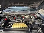 2020 Ford F-150 SuperCrew Cab 4WD Pickup for sale #638990 - photo 35