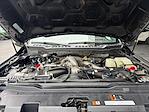 2024 Ford F-250 Crew Cab 4WD Pickup for sale #639170 - photo 5