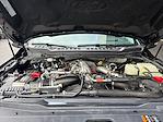 2024 Ford F-350 Crew Cab SRW 4WD Pickup for sale #639200 - photo 3