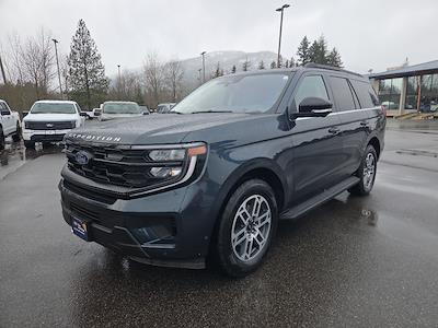 Used 2025 Ford Expedition - photo 1