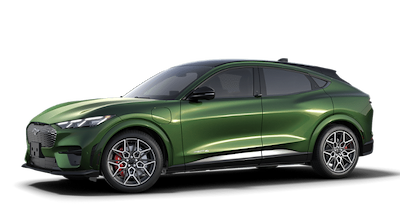 New 2025 Ford Mustang Mach-E - photo 1