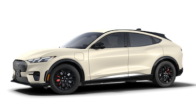 New 2025 Ford Mustang Mach-E - photo 1