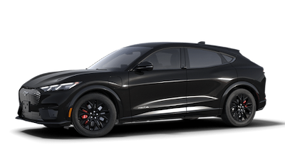 New 2025 Ford Mustang Mach-E - photo 1