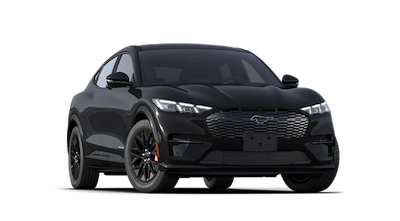 New 2025 Ford Mustang Mach-E - photo 1