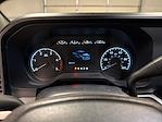 2024 Ford F-250 Crew Cab 4WD Pickup for sale #E1075 - photo 10