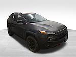 2017 Jeep Cherokee 4WD SUV for sale #F25944A - photo 1