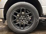 New 2025 Ford F-150 STX SuperCrew Cab for sale #F25971 - photo 8