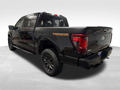 New 2025 Ford F-150 - photo 1