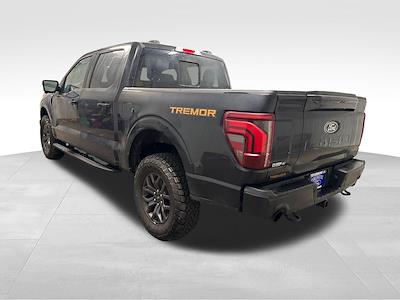 New 2025 Ford F-150 - photo 1