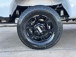 2026 Ford F-250 Crew Cab 4WD Pickup for sale #I093 - photo 6