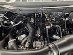 New 2025 Ford F-150 XLT SuperCrew Cab for sale #S1123 - photo 31