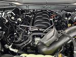 New 2026 Ford F-150 XLT SuperCrew Cab for sale #T0254 - photo 28