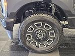 2026 Ford F-250 Crew Cab 4WD Pickup for sale #T0353 - photo 10