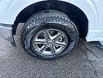 2024 Ford F-150 SuperCrew Cab 4x4 Pickup for sale #E3001A - photo 9