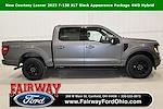 2025 Ford F-150 SuperCrew Cab 4WD Pickup for sale #250628 - photo 1